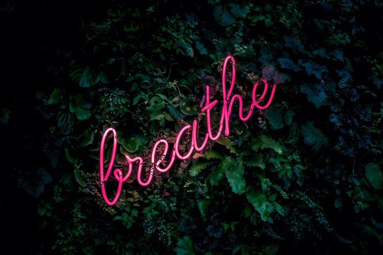 Health and Wellness